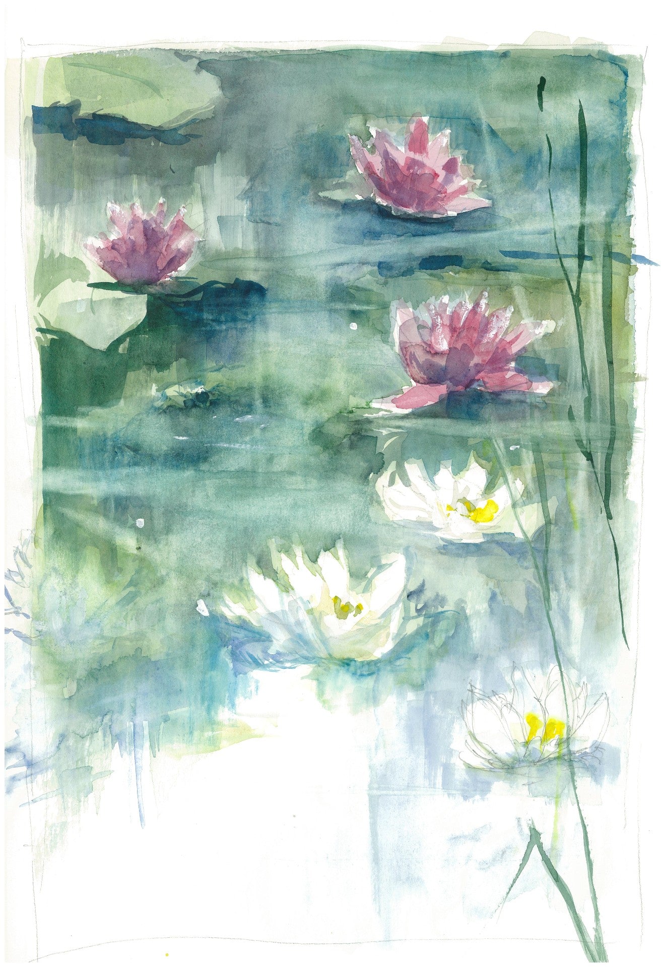 The Water Lilies - Isabelle Issaverdens