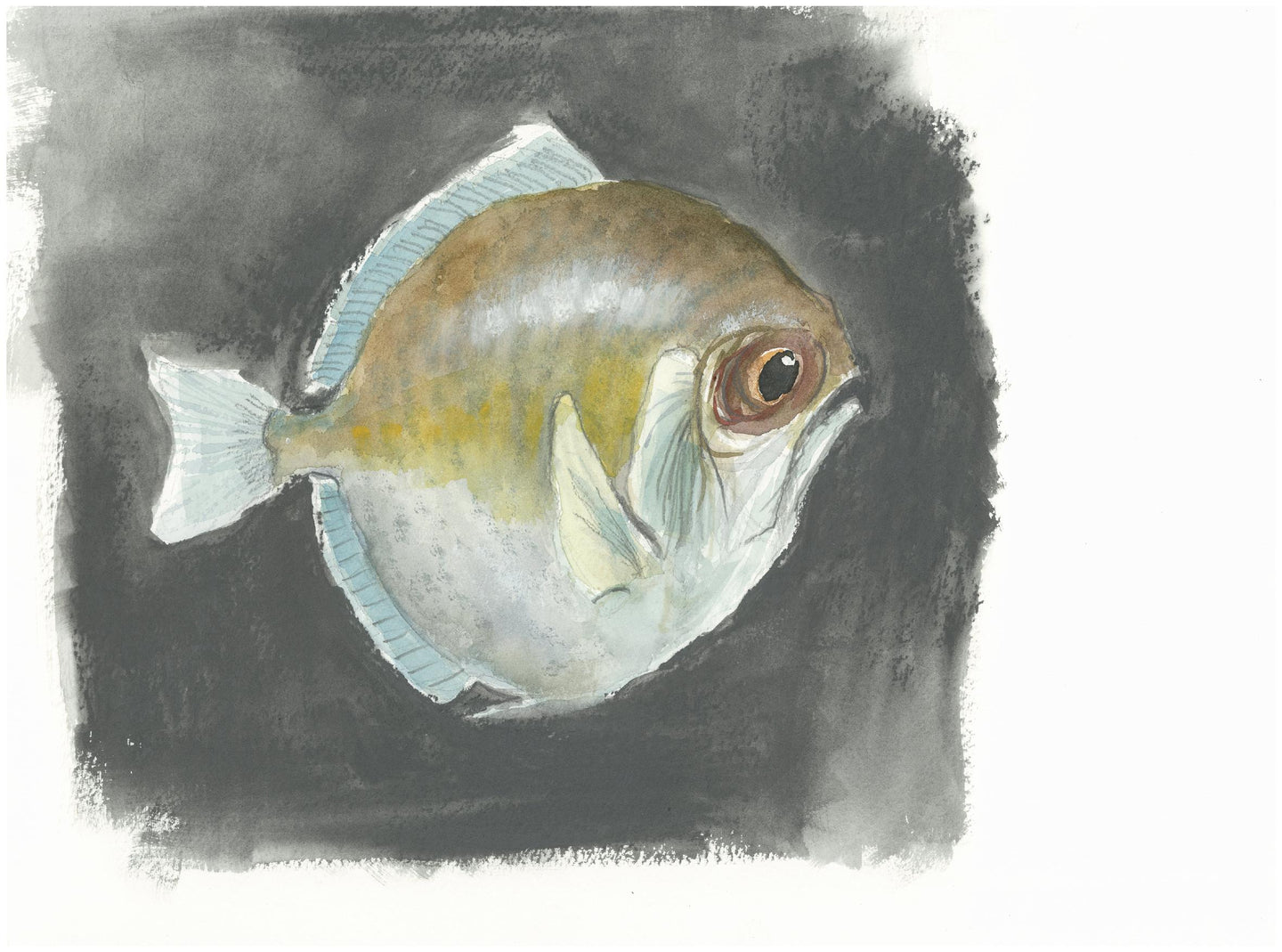 Sulky fish - Isabelle Issaverdens