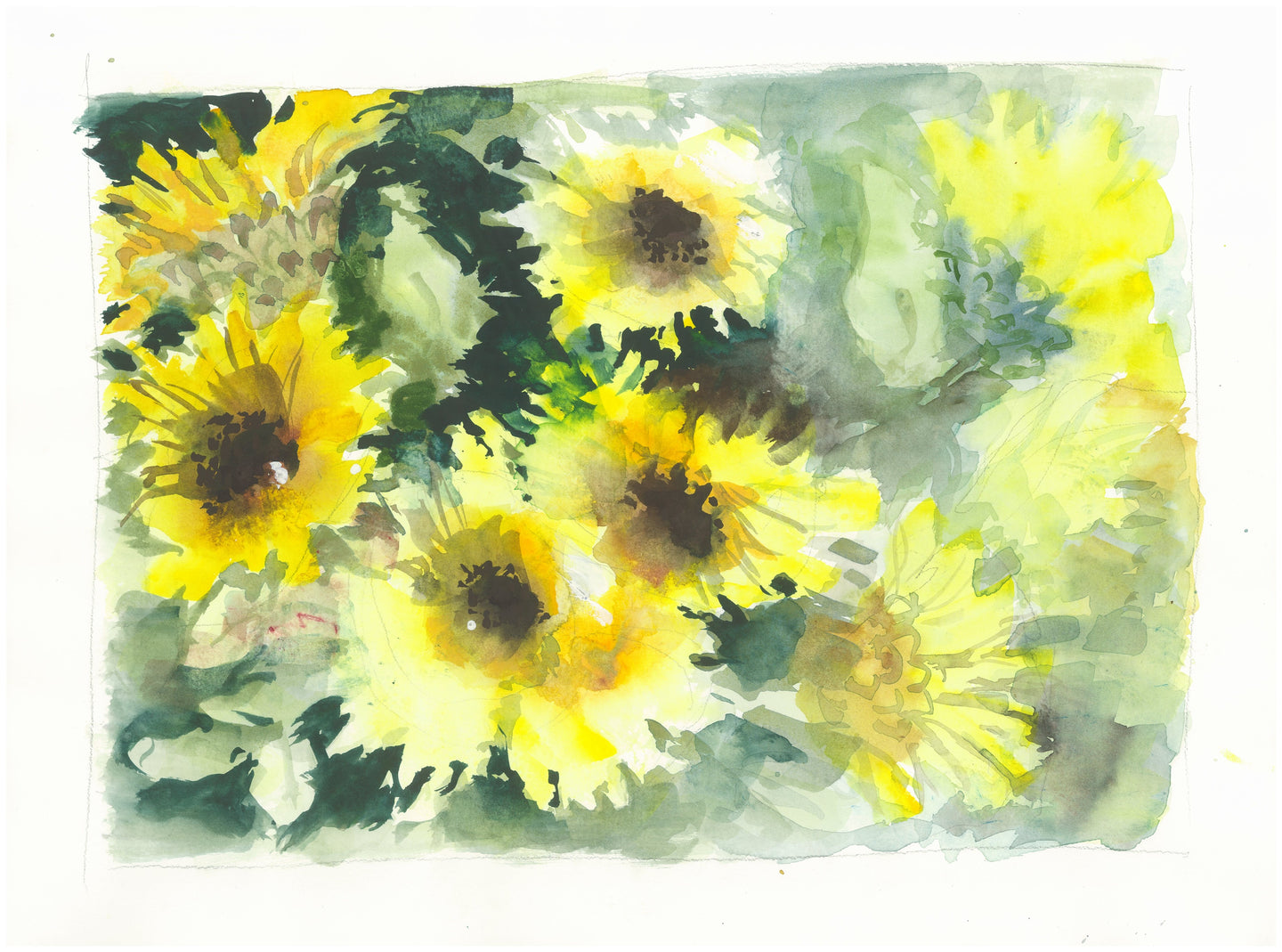 Sunflowers - Isabelle Issaverdens