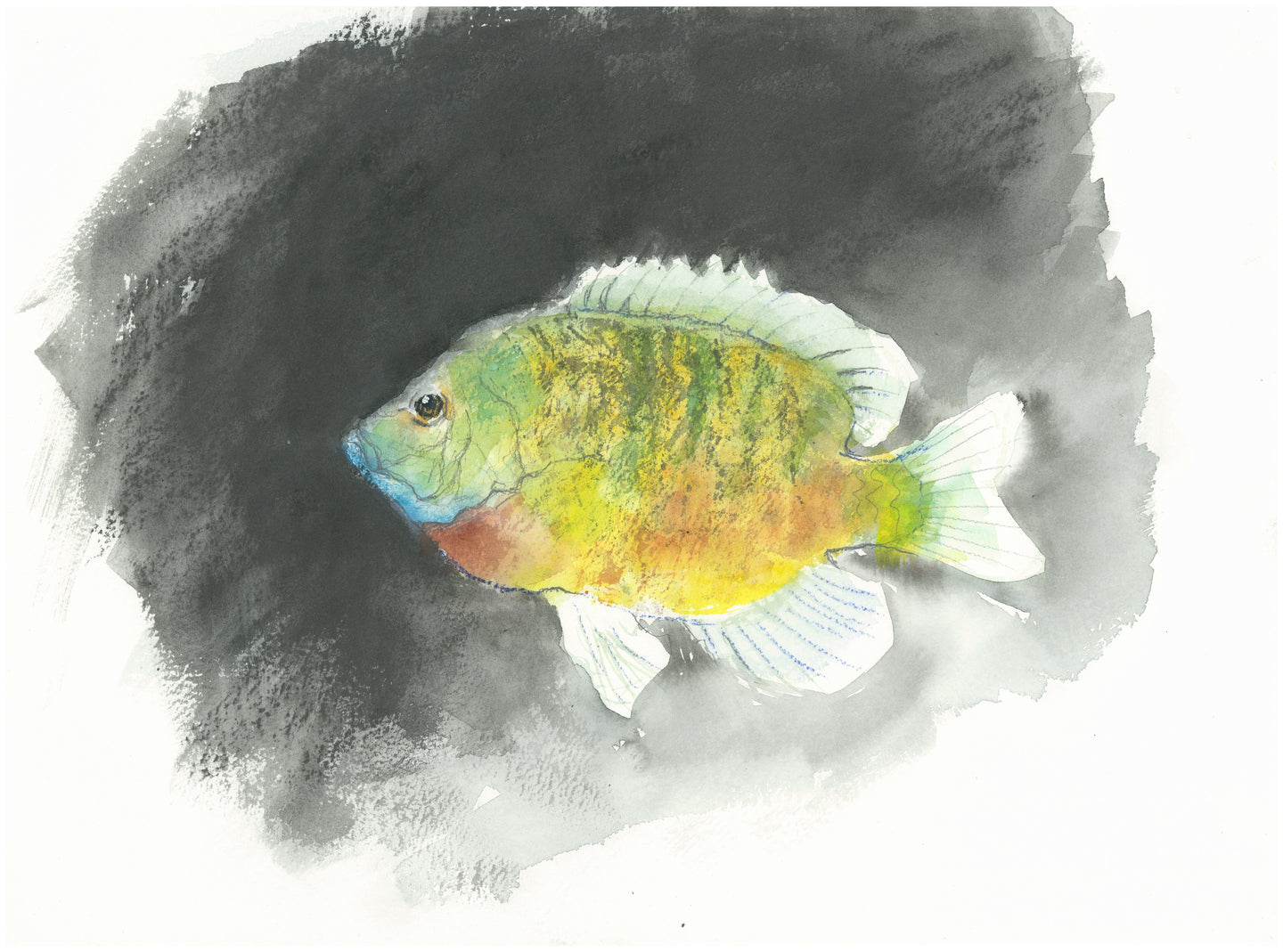Yellow fish - Isabelle Issaverdens