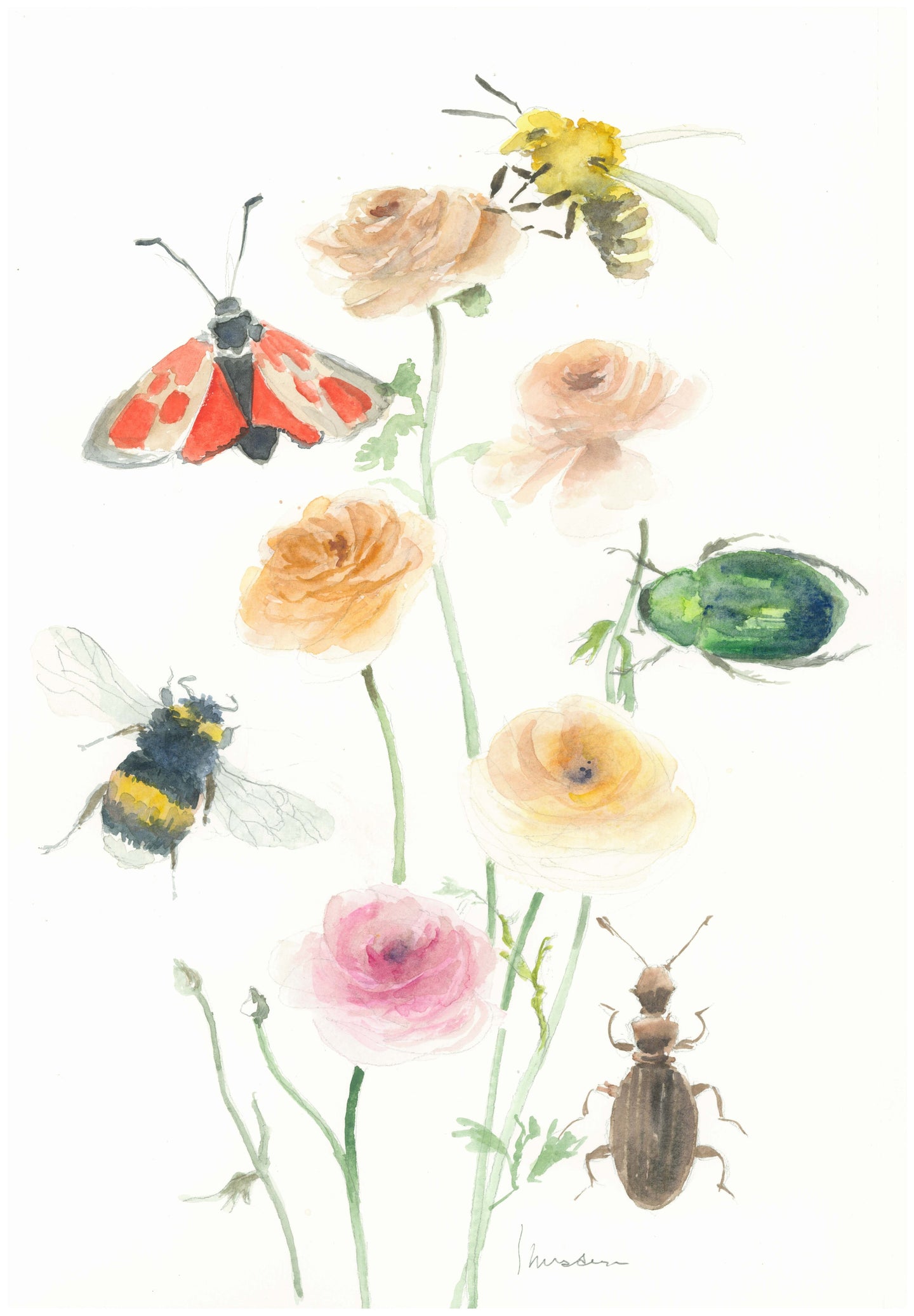 Buttercups with Insects - Isabelle Issaverdens